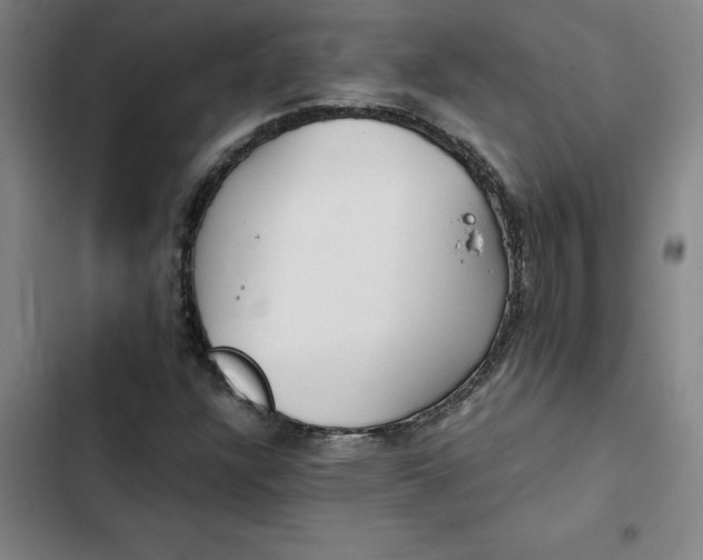 X0000102471304200808221633