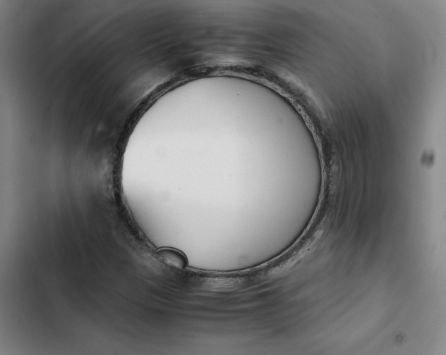 X0000102471305200808221633