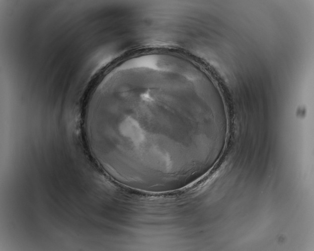 X0000102471306200808221633