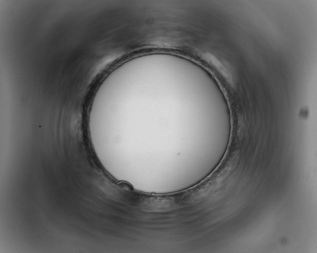 X0000102471307200808221633