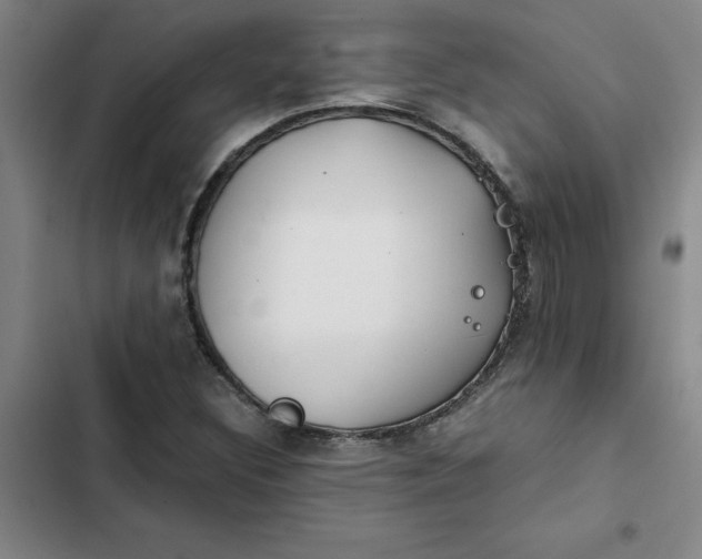 X0000102471308200808221633