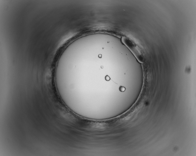 X0000102471309200808221633