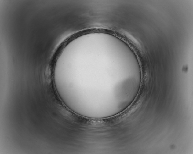 X0000102471310200808221633