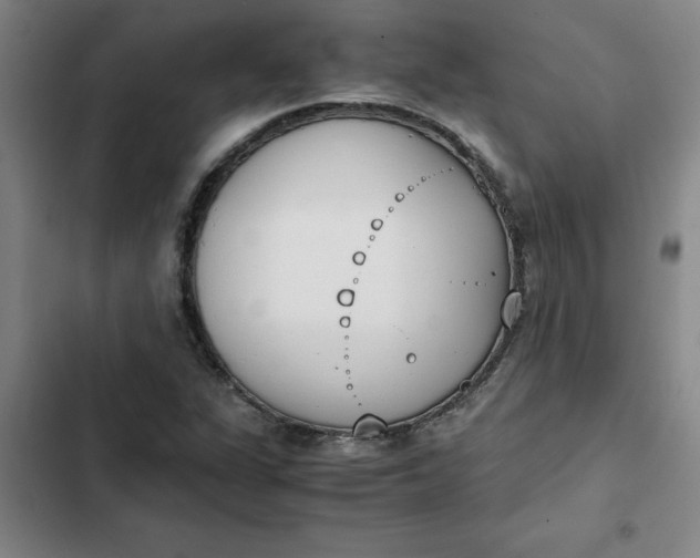 X0000102471311200808221633
