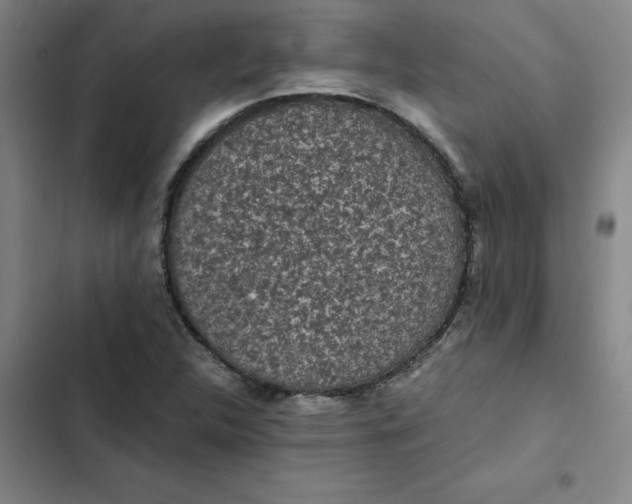 X0000102471312200808221633