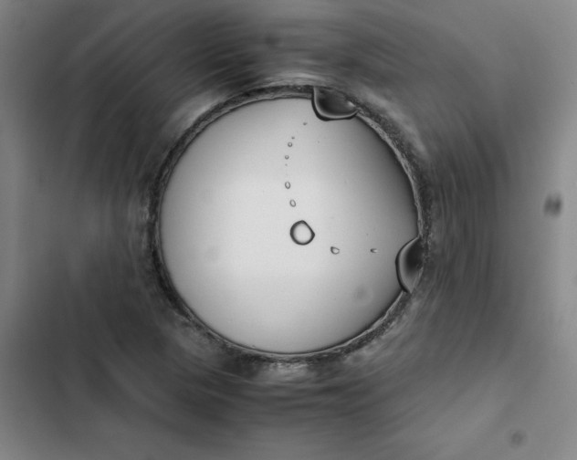 X0000102471313200808221633