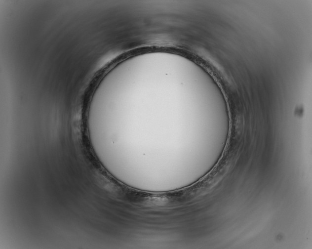X0000102471315200808221633