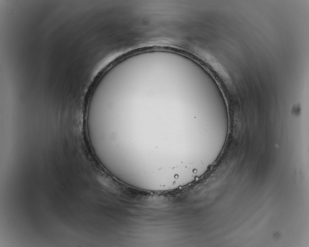 X0000102471316200808221633