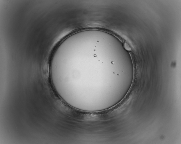 X0000102471317200808221633