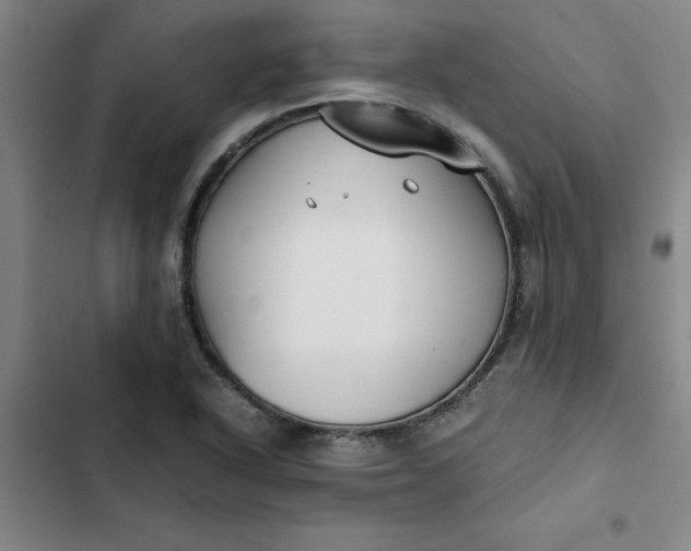 X0000102471318200808221633