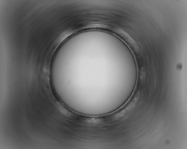 X0000102471321200808221634