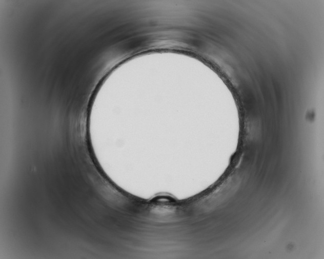 X0000102471322200808221634