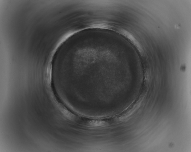 X0000102471323200808221634