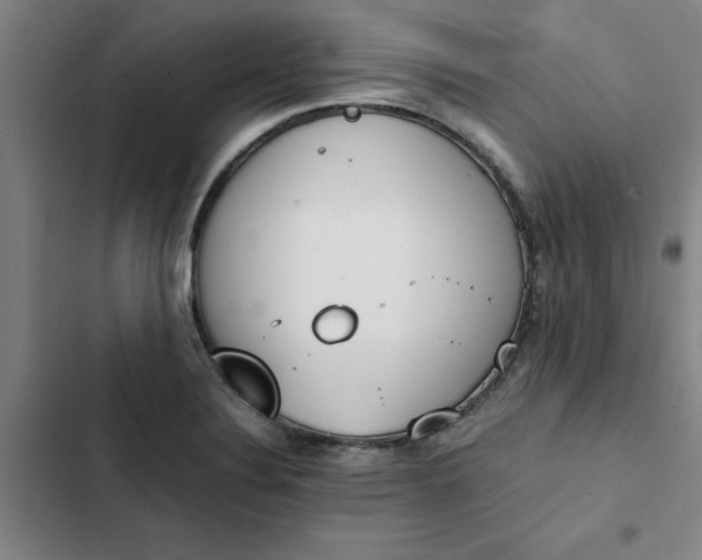 X0000102471324200808221634