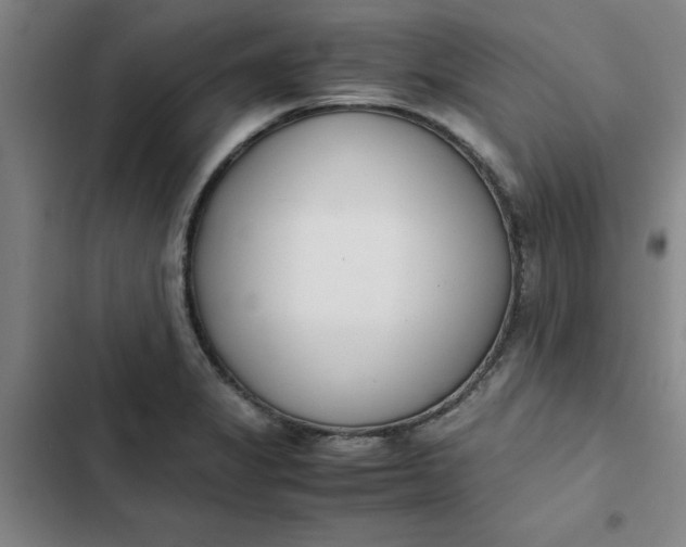 X0000102471325200808221634
