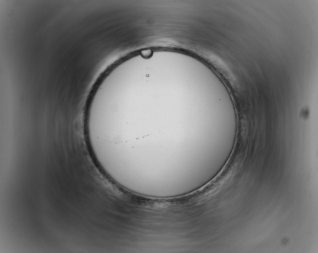 X0000102471326200808221634