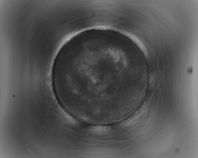 X0000102471327200808221634