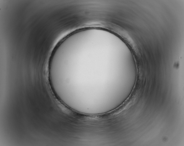 X0000102471328200808221634