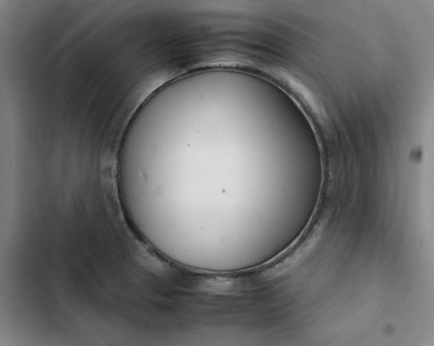 X0000102471329200808221634