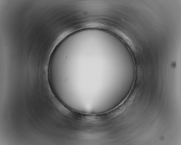 X0000102471330200808221634