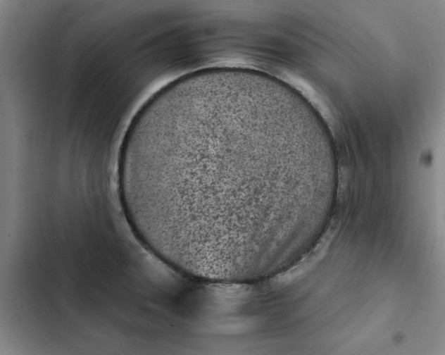 X0000102471331200808221634