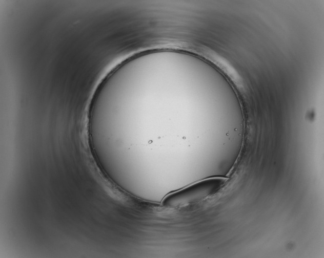 X0000102471332200808221634