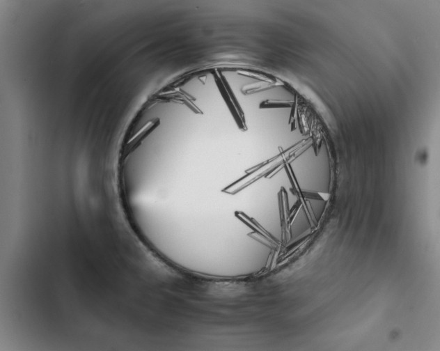 X0000102471333200808221634