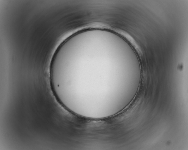 X0000102471335200808221634