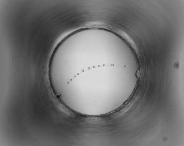 X0000102471336200808221634