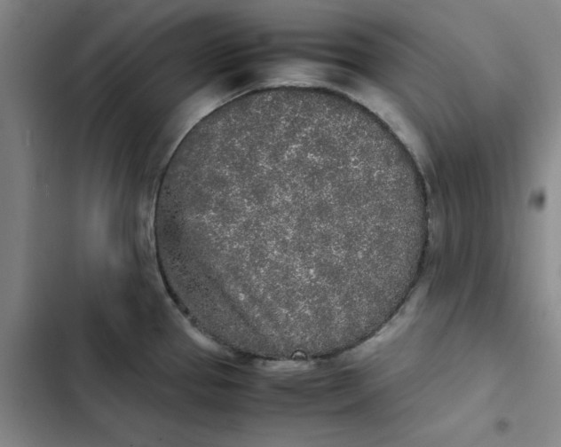 X0000102471337200808221634