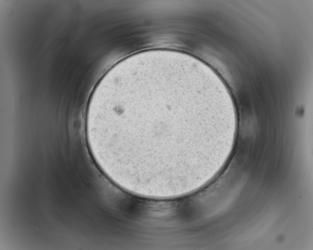 X0000102471338200808221634