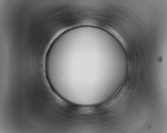 X0000102471339200808221634