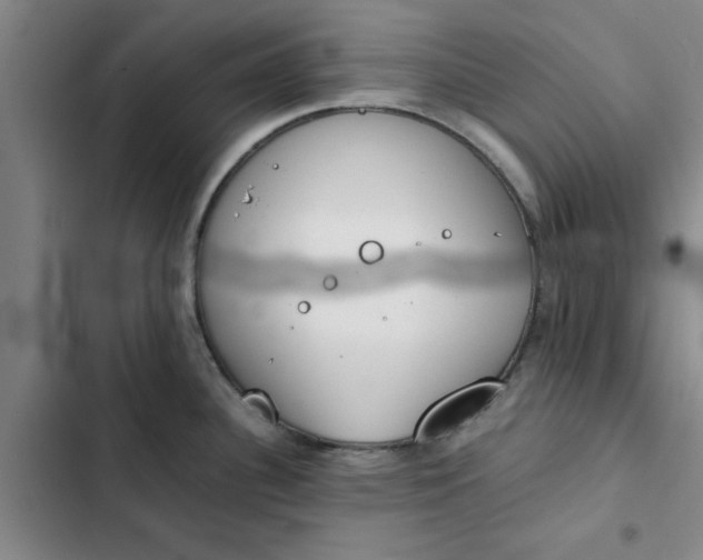 X0000102471340200808221634