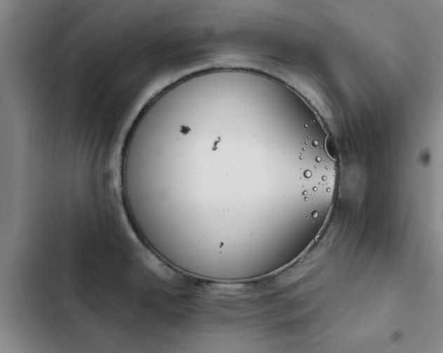 X0000102471342200808221634