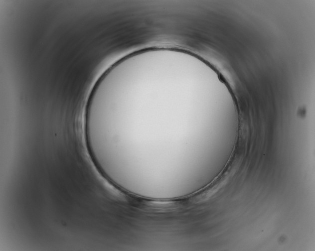 X0000102471343200808221634