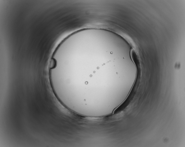 X0000102471344200808221634