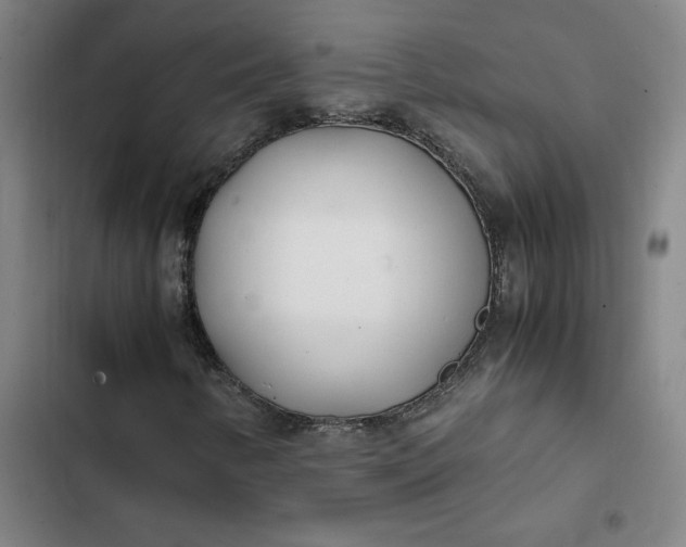X0000102471346200808221633