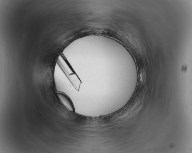 X0000102471347200808221633