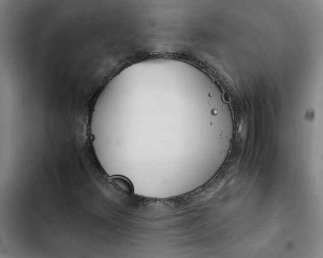 X0000102471348200808221633