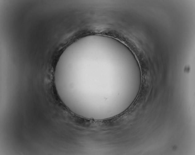 X0000102471349200808221633