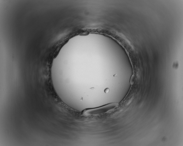X0000102471350200808221633