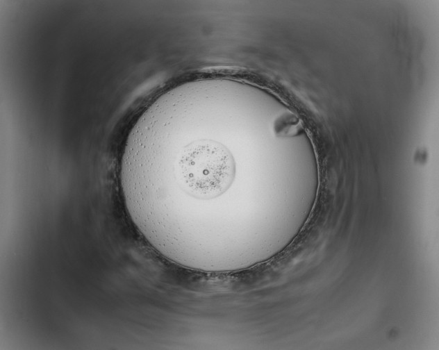 X0000102471351200808221633