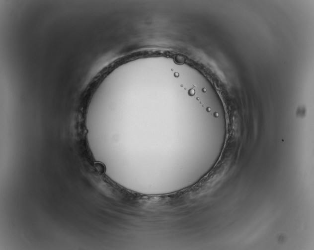 X0000102471352200808221633