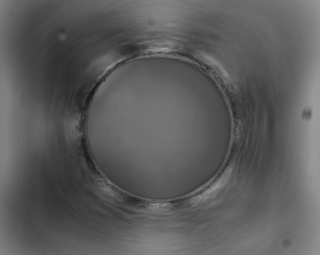 X0000102471353200808221633