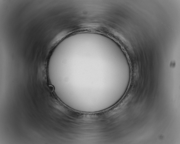 X0000102471354200808221633