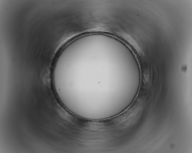 X0000102471356200808221633