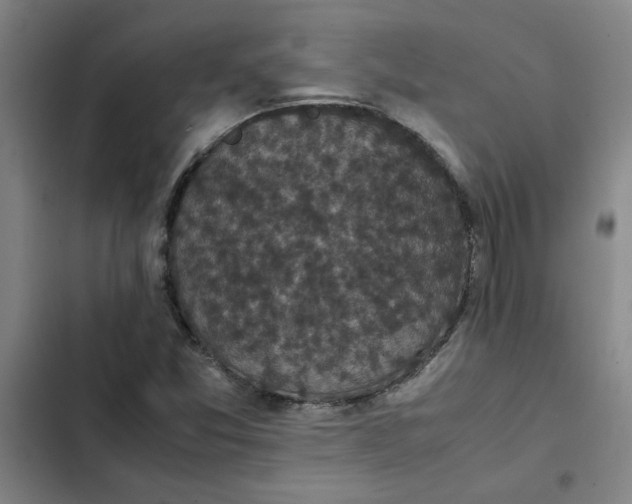 X0000102471357200808221633