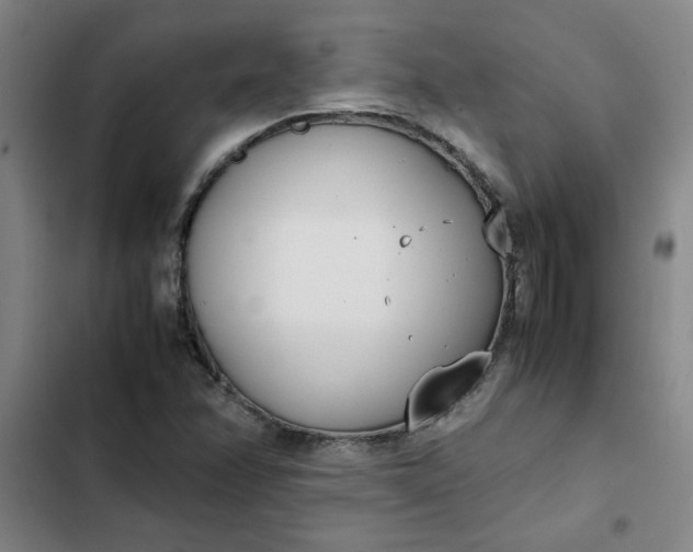 X0000102471358200808221633