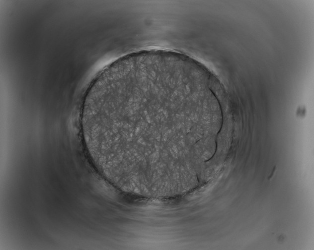 X0000102471359200808221633