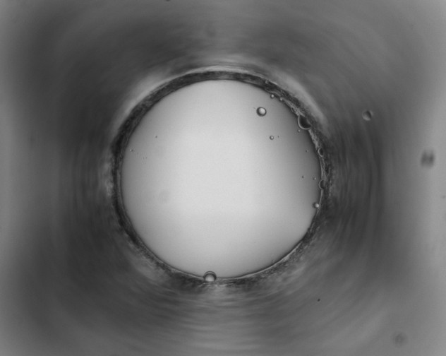 X0000102471360200808221633